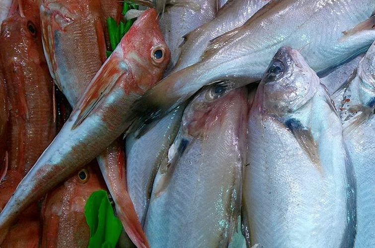 Pesce in guazzetto speziato alla Curmi